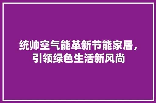 统帅空气能革新节能家居，引领绿色生活新风尚 旧房改造