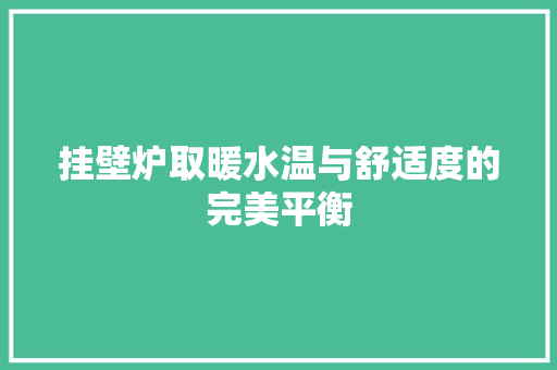 挂壁炉取暖水温与舒适度的完美平衡 清洁保养