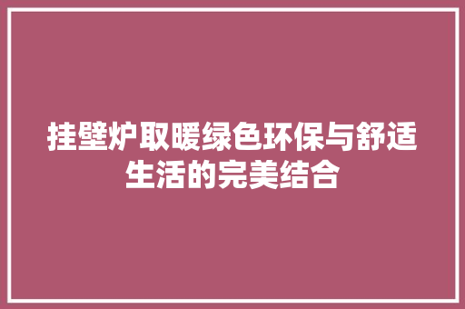 挂壁炉取暖绿色环保与舒适生活的完美结合 装修设计