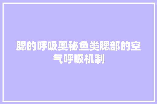 腮的呼吸奥秘鱼类腮部的空气呼吸机制 洁具维修