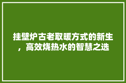 挂壁炉古老取暖方式的新生，高效烧热水的智慧之选 清洁保养