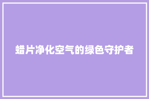 蜡片净化空气的绿色守护者 洗衣机