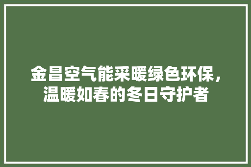 金昌空气能采暖绿色环保，温暖如春的冬日守护者 空调