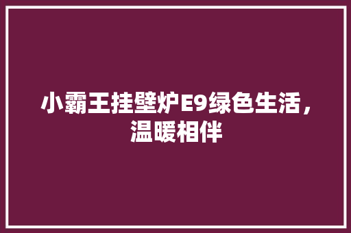 小霸王挂壁炉E9绿色生活，温暖相伴 家居维修