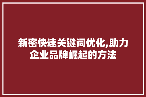 新密快速关键词优化,助力企业品牌崛起的方法 洁具维修