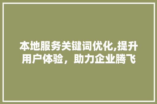 本地服务关键词优化,提升用户体验，助力企业腾飞 翻新改色