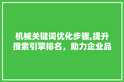 机械关键词优化步骤,提升搜索引擎排名，助力企业品牌曝光 热水器