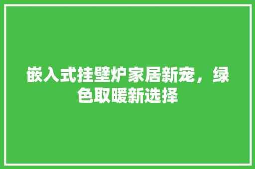嵌入式挂壁炉家居新宠，绿色取暖新选择 家居维修