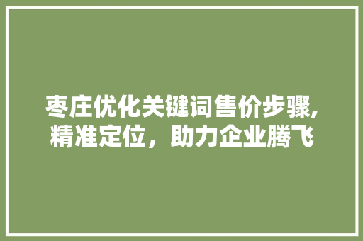 枣庄优化关键词售价步骤,精准定位，助力企业腾飞 空调