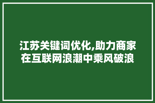 江苏关键词优化,助力商家在互联网浪潮中乘风破浪 家具修理