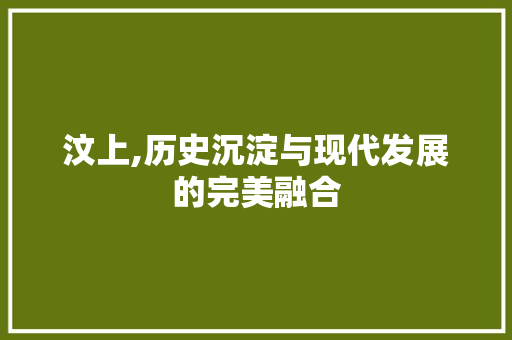 汶上,历史沉淀与现代发展的完美融合 翻新改色