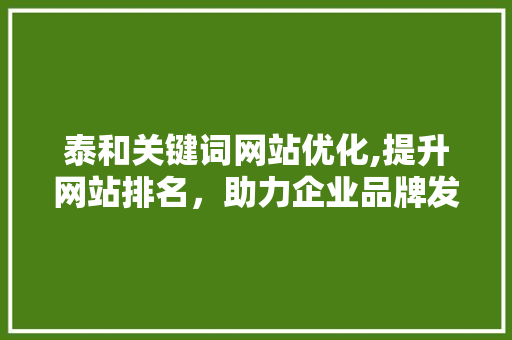 泰和关键词网站优化,提升网站排名，助力企业品牌发展 洁具维修