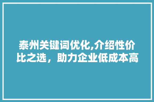 泰州关键词优化,介绍性价比之选，助力企业低成本高效果提升 洁具维修