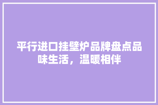 平行进口挂壁炉品牌盘点品味生活，温暖相伴 局部翻新