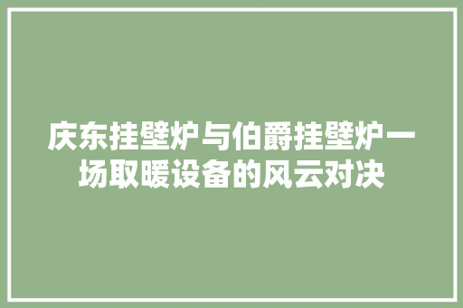 庆东挂壁炉与伯爵挂壁炉一场取暖设备的风云对决 家电维护