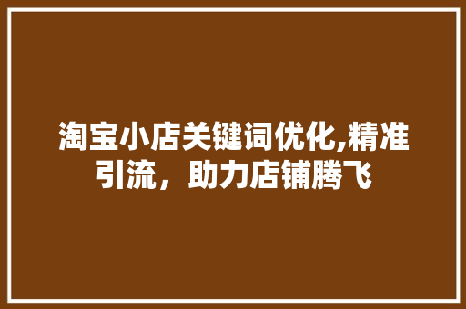 淘宝小店关键词优化,精准引流，助力店铺腾飞 灯具安装