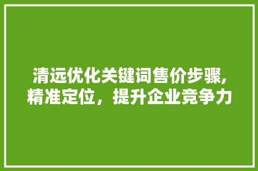 清远优化关键词售价步骤,精准定位，提升企业竞争力 灯具安装
