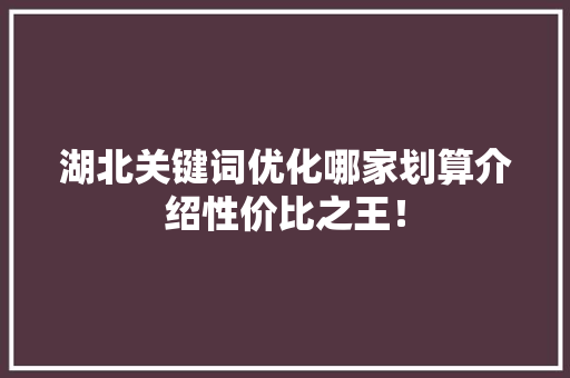 湖北关键词优化哪家划算介绍性价比之王！ 局部翻新