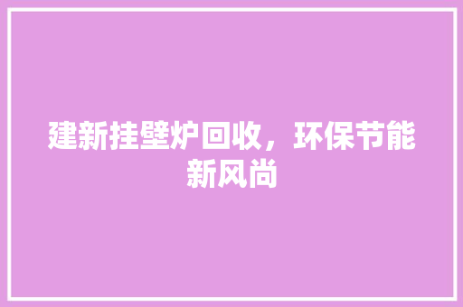 建新挂壁炉回收，环保节能新风尚 空调