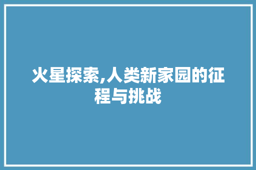 火星探索,人类新家园的征程与挑战 灯具安装