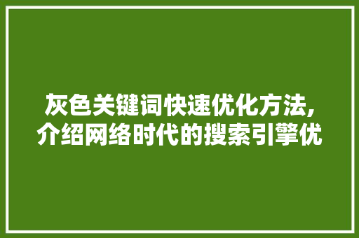 灰色关键词快速优化方法,介绍网络时代的搜索引擎优化之路 家居维修