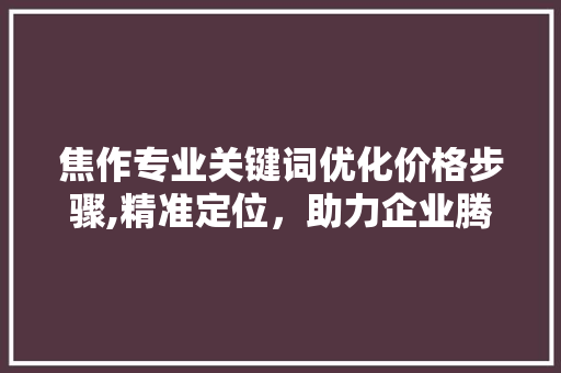 焦作专业关键词优化价格步骤,精准定位，助力企业腾飞 水电维修