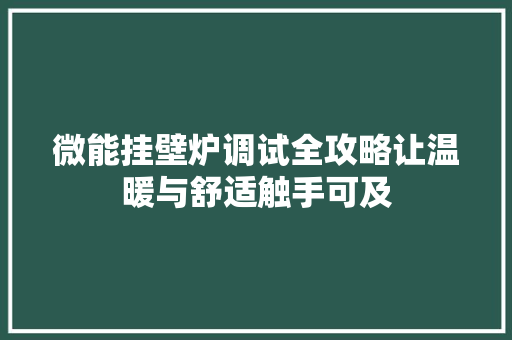 微能挂壁炉调试全攻略让温暖与舒适触手可及 龙头管件