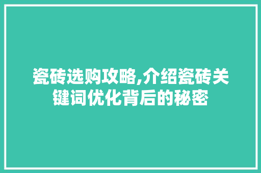 瓷砖选购攻略,介绍瓷砖关键词优化背后的秘密 水电维修