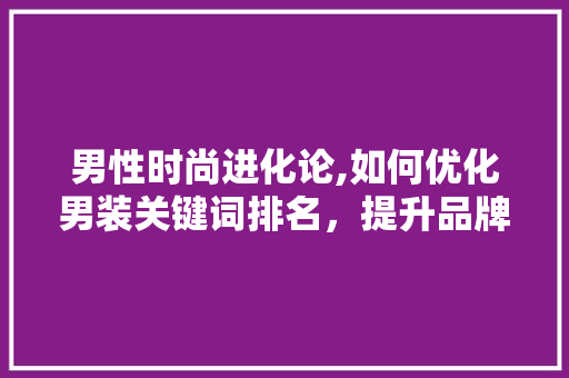 男性时尚进化论,如何优化男装关键词排名，提升品牌影响力 冰箱