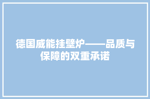 德国威能挂壁炉——品质与保障的双重承诺 水电维修