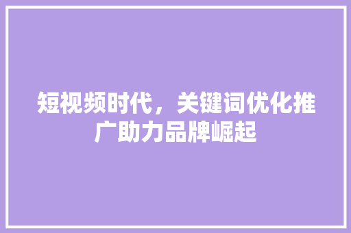 短视频时代，关键词优化推广助力品牌崛起 家电维护
