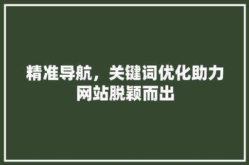 精准导航，关键词优化助力网站脱颖而出 冰箱