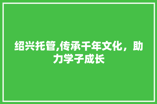 绍兴托管,传承千年文化，助力学子成长 灯具安装