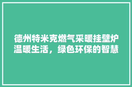 德州特米克燃气采暖挂壁炉温暖生活，绿色环保的智慧之选 洗衣机