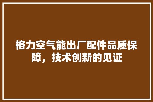 格力空气能出厂配件品质保障，技术创新的见证 热水器