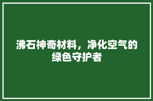 沸石神奇材料，净化空气的绿色守护者 空调