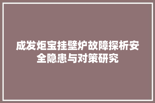 成发炬宝挂壁炉故障探析安全隐患与对策研究 洗衣机