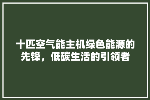 十匹空气能主机绿色能源的先锋，低碳生活的引领者 龙头管件