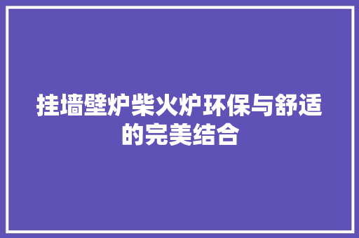 挂墙壁炉柴火炉环保与舒适的完美结合 洁具维修
