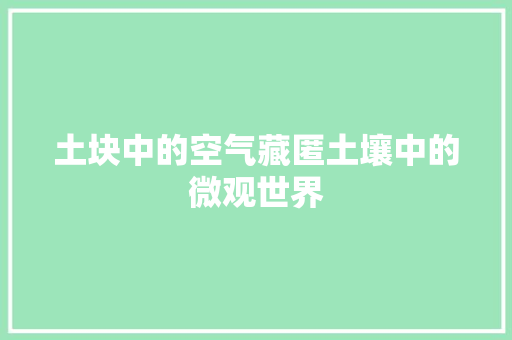 土块中的空气藏匿土壤中的微观世界 家居维修