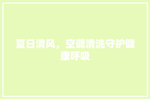 夏日清风，空调清洗守护健康呼吸 洁具维修