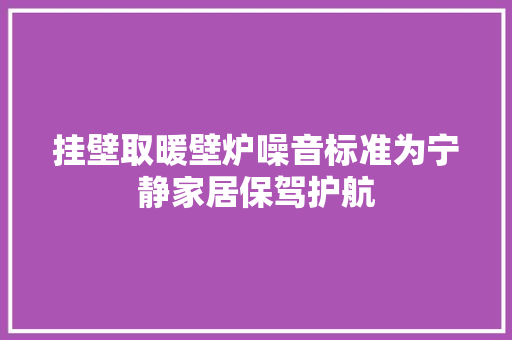 挂壁取暖壁炉噪音标准为宁静家居保驾护航 空调