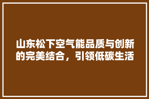 山东松下空气能品质与创新的完美结合，引领低碳生活新潮流 装修设计