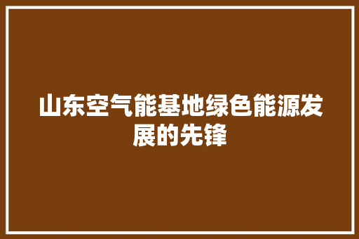 山东空气能基地绿色能源发展的先锋 翻新改色