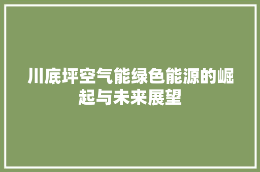 川底坪空气能绿色能源的崛起与未来展望 清洁保养