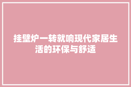 挂壁炉一转就响现代家居生活的环保与舒适 热水器