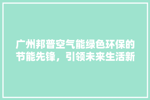 广州邦普空气能绿色环保的节能先锋，引领未来生活新风尚 清洁保养