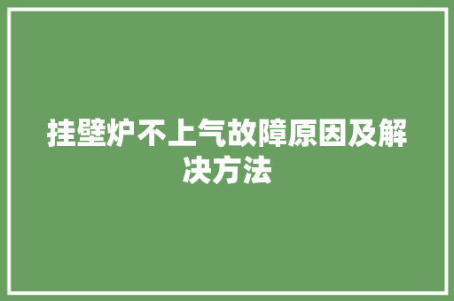 挂壁炉不上气故障原因及解决方法 冰箱