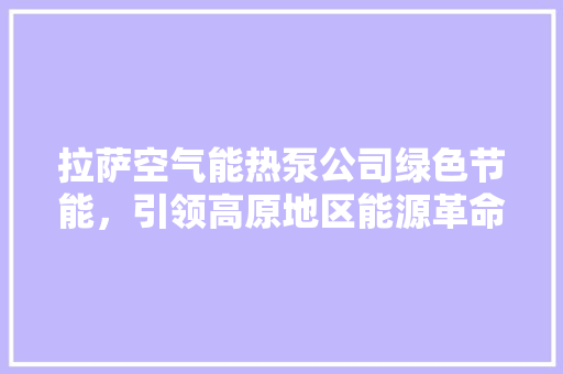 拉萨空气能热泵公司绿色节能，引领高原地区能源革命 空调