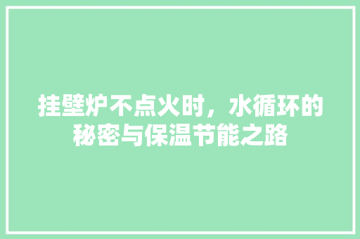 挂壁炉不点火时，水循环的秘密与保温节能之路 家居维修